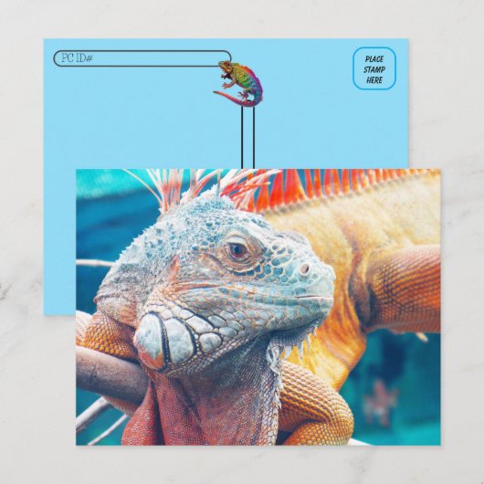 Postkreuzung - Schöne iguana Postkarte (Vorne/Hinten)