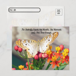 Postkreuzung - Weißer Pfauenschmetterling-Zitat Postkarte