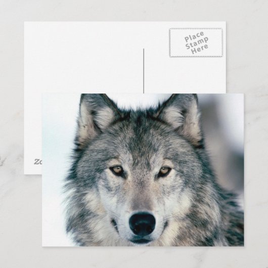 Postlupe Postkarte (Vorne/Hinten)
