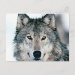 Postlupe Postkarte