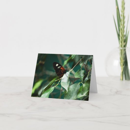 Postman 184 Card Karte (Vorderseite)
