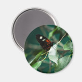 Postman 184 Magnet (Vorderseite/Rückseite)