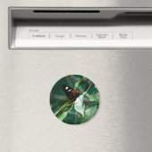 Postman 184 Magnet (In Situ (Geschirrspüler))