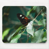 Postman 184 Mousepad (Vorne)