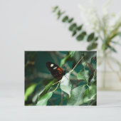 Postman 184 Postkarte (Stehend Vorderseite)