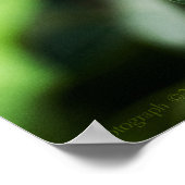 Postman 184 Print Poster (Ecke)