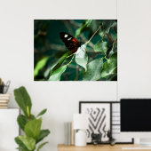 Postman 184 Print Poster (Heimbüro)