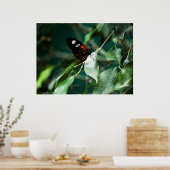 Postman 184 Print Poster (Küche)