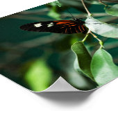 Postman 184 Print Poster (Ecke)