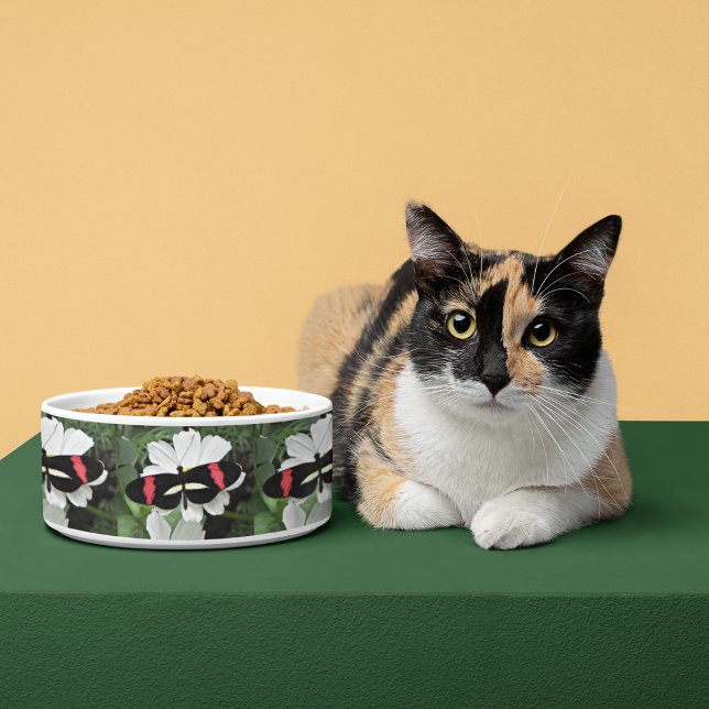 Postman Butterfly auf Blume Foto Pattern Pet Napf (In Situ)