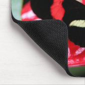 Postman Butterfly Mousepad (Ecke)