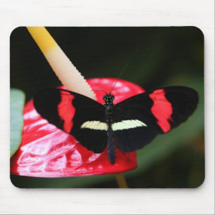 Postman Butterfly Mousepad