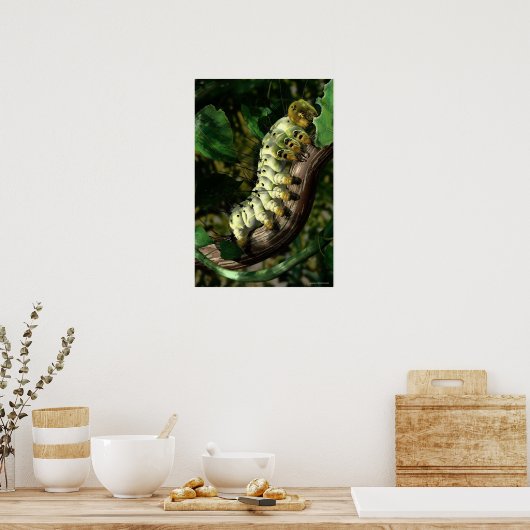 Postman-Raupe Poster (Küche)