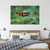 Postman Schmetterling Leinwanddruck (Insitu (Schlafzimmer))