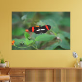 Postman Schmetterling Leinwanddruck (Insitu (Wohnzimmer))