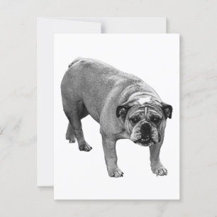 Postmark Bulldog Joy Postkarte