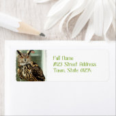 Postmarken für lange gezogene Owl (Insitu)