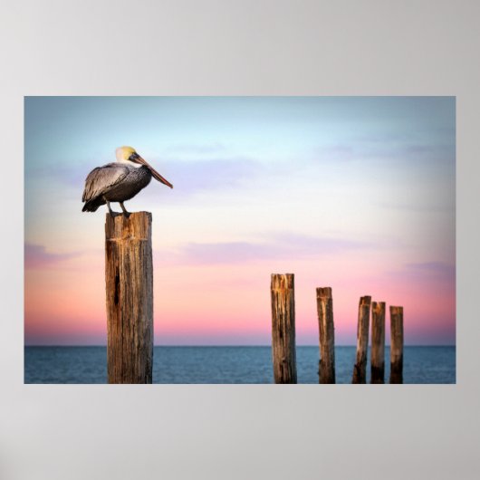 Posts & a Pelican | Fort Myers Beach, Florida Poster (Vorne)