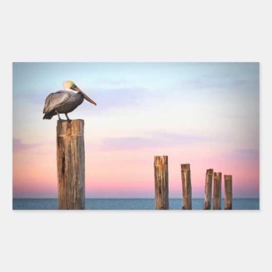 Posts & a Pelican | Fort Myers Beach, Florida Rechteckiger Aufkleber (Vorderseite)