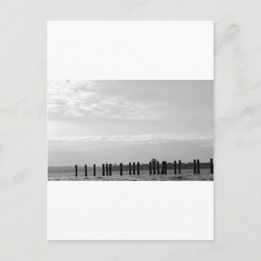 Posts für Schwarz und Weiß Postkarte (Vorderseite)