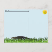 Postübergabe - Alligator Party Postkarte (Rückseite)