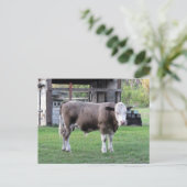 Postübergabe - Dieser Bull bedeutet Visitenkarte Postkarte (Stehend Vorderseite)