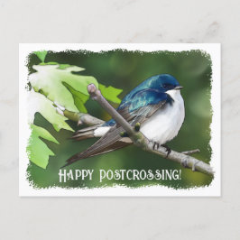 Postübergang Baumschlucken - Postkarte