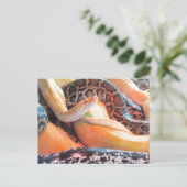 Postübergang - Den Schlangen Postkarte (Stehend Vorderseite)