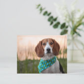 Postübergang - Foxhound Postkarte (Stehend Vorderseite)