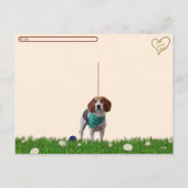 Postübergang - Foxhound Postkarte (Rückseite)