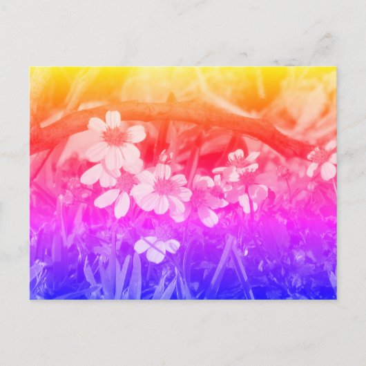 Postüberqueren der 70er Jahre Sichtbare Wildblumen Postkarte (Vorderseite)