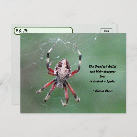 Postüberqueren der Gepunkteten Orbweaver Spider Po Postkarte (Vorne/Hinten)