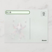 Postüberqueren der Gepunkteten Orbweaver Spider Po Postkarte (Rückseite)