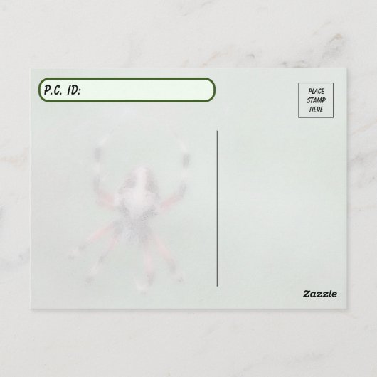 Postüberqueren der Gepunkteten Orbweaver Spider Po Postkarte (Rückseite)