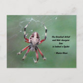 Postüberqueren der Gepunkteten Orbweaver Spider Po Postkarte (Vorderseite)