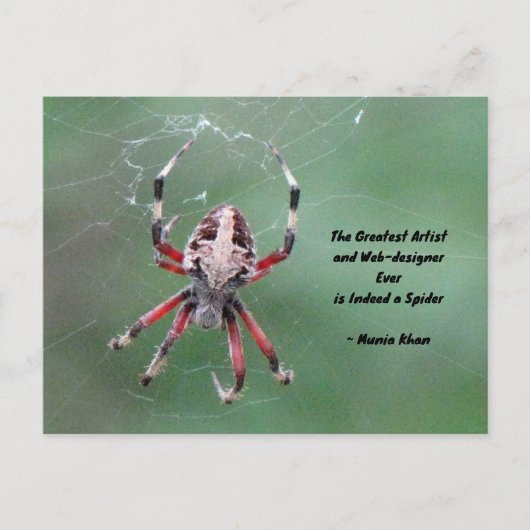 Postüberqueren der Gepunkteten Orbweaver Spider Po Postkarte (Vorderseite)