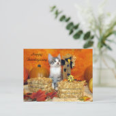 Postüberqueren der Porkchop-Katze / Kätzchen Postk Postkarte (Stehend Vorderseite)