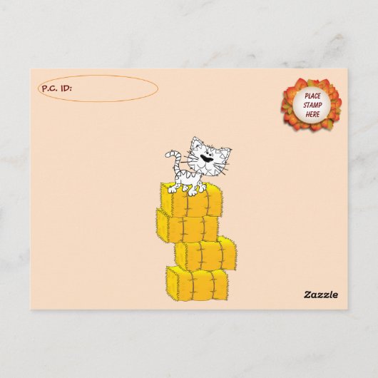 Postüberqueren der Porkchop-Katze / Kätzchen Postk Postkarte (Rückseite)