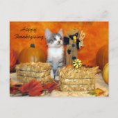 Postüberqueren der Porkchop-Katze / Kätzchen Postk Postkarte (Vorderseite)