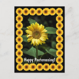 Postüberqueren der Sonnenblume - Postkarte