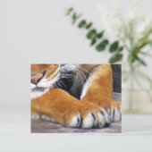 Postüberqueren der Tigerpfeife Postkarte mit ID Bo (Stehend Vorderseite)