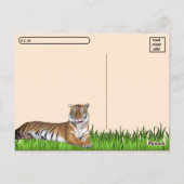 Postüberqueren der Tigerpfeife Postkarte mit ID Bo (Rückseite)