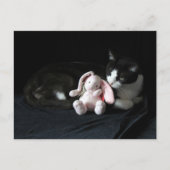 Postüberqueren einiger sonniger Lieben - Katze Pos Postkarte (Vorderseite)