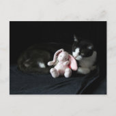 Postüberqueren einiger sonniger Lieben - Katze Pos Postkarte (Vorderseite)