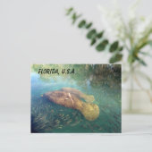 Postüberqueren von Florida Manatee and Baby w ID B Postkarte (Stehend Vorderseite)