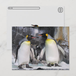 Postüberqueren von King Penguins Postcard Postkarte
