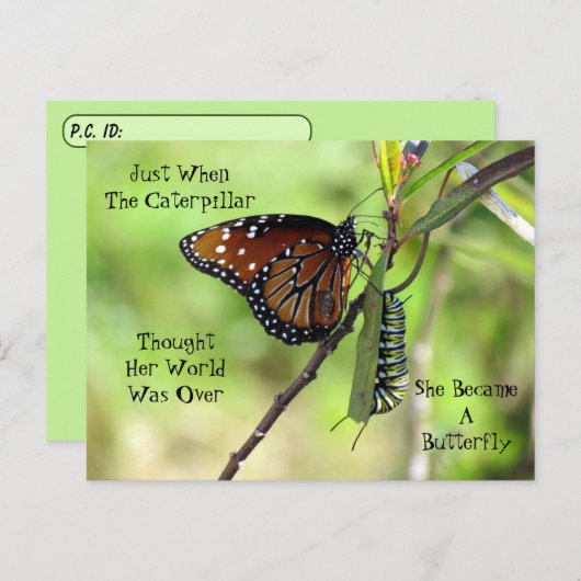 Postüberqueren von Queen Butterfly & Monarch mit I Postkarte (Vorne/Hinten)