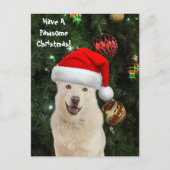 Postüberqueren von Santa Paws - Das glückliche Wei Postkarte (Vorderseite)