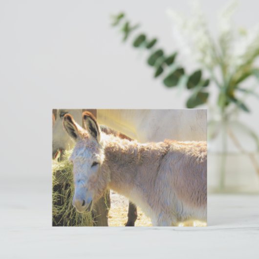 Postüberquerung - Adable Postkarte des Donkey (Stehend Vorderseite)