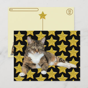 Postüberquerung - Annie's Star: Cat Postcard Postkarte